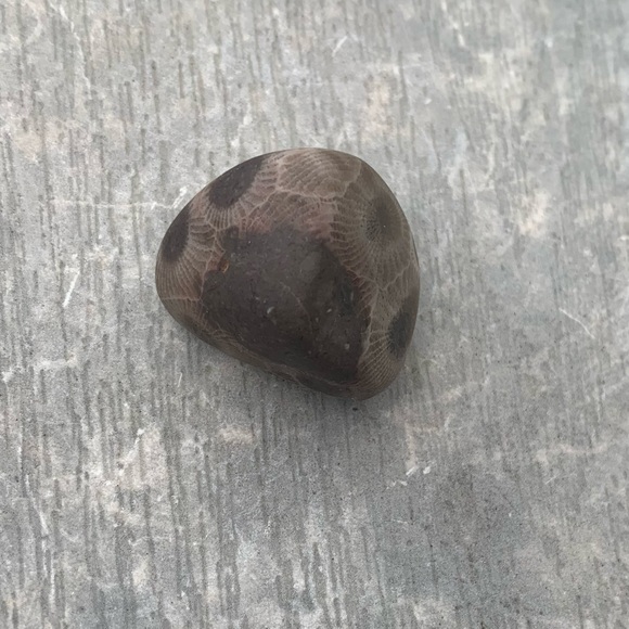 Petoskey stone - Picture 1 of 7